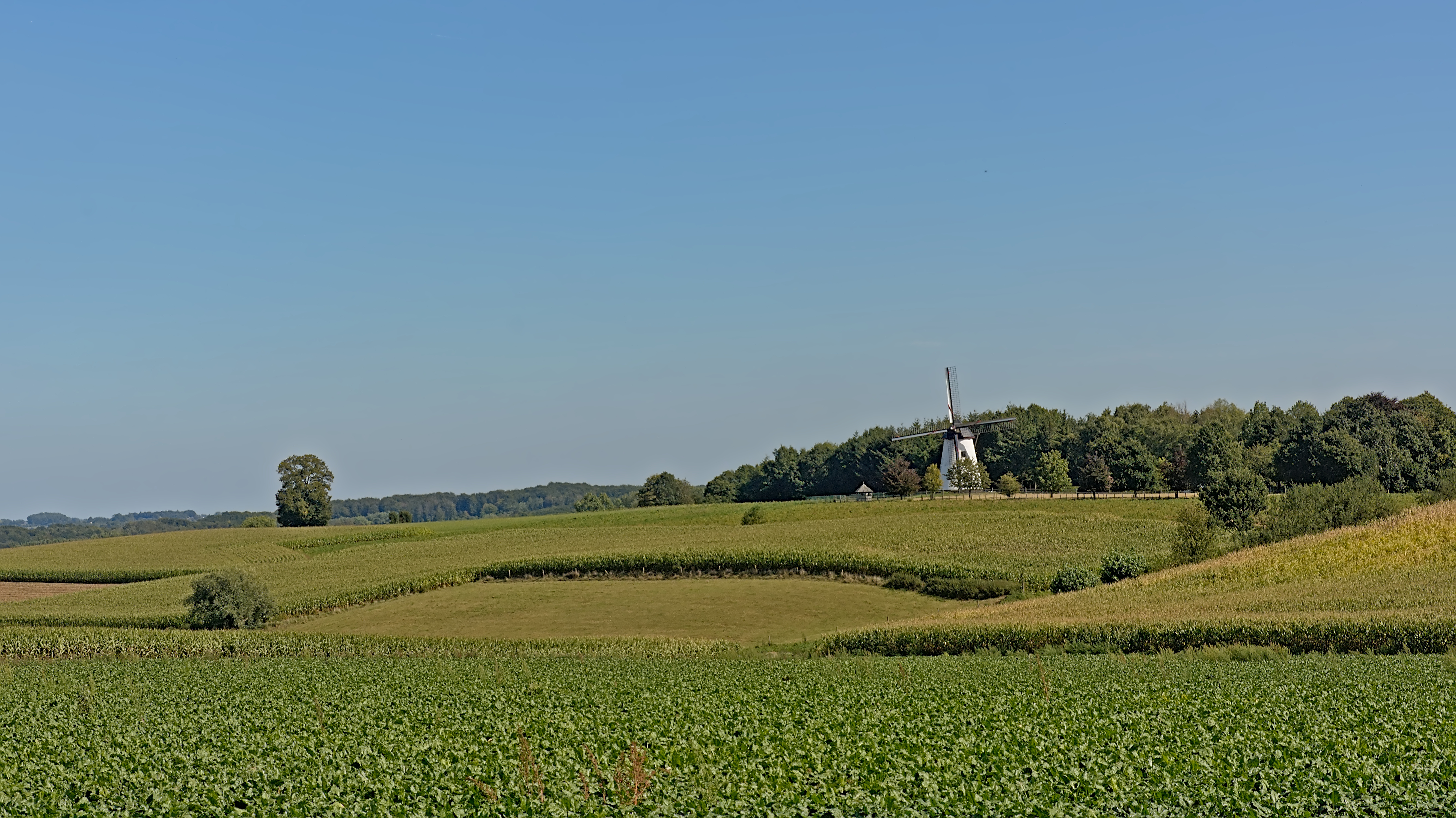 boekhouder Maarkedal