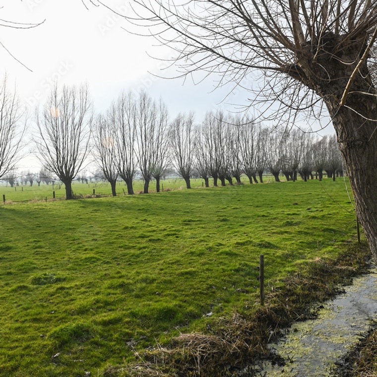 comptable Lovendegem comptable Lovendegem