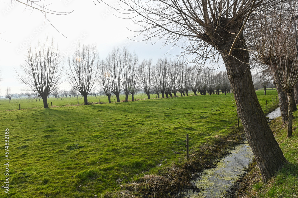 boekhouder Lovendegem