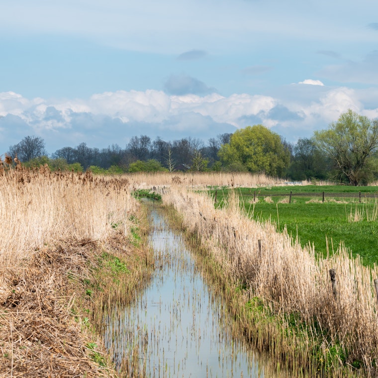 boekhouder Linter boekhouder Linter