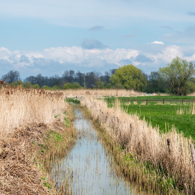 comptable Linter comptable Linter