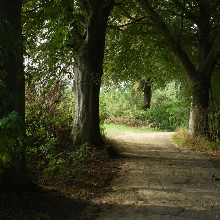 boekhouder Lierde boekhouder Lierde