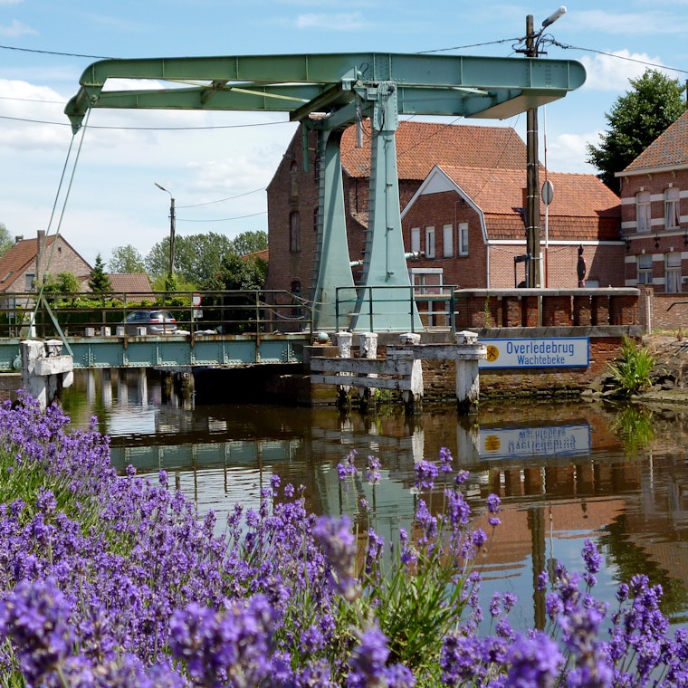 Wachtebeke accountant PIA Group