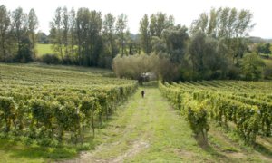 Comptable Kortessem PIA Group