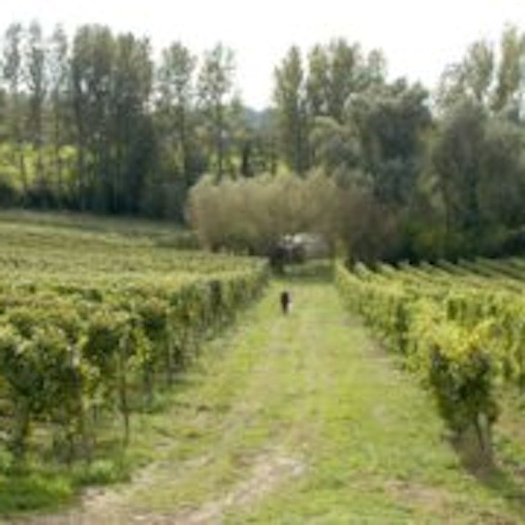 Comptable Kortessem PIA Group