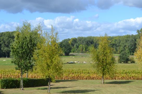 boekhouder Kortenaken