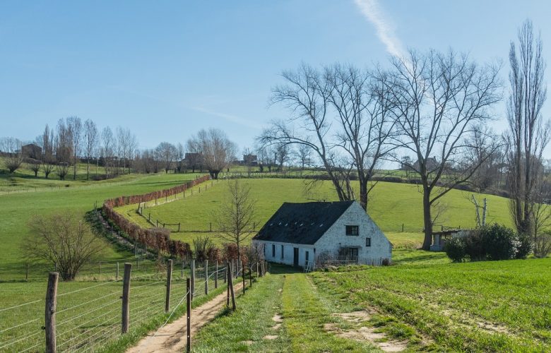boekhouder Kluisbergen