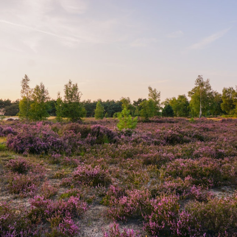 boekhouder Kalmthout boekhouder Kalmthout