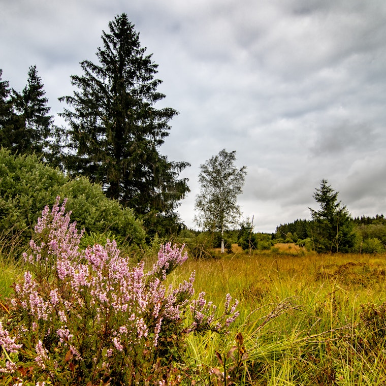 comptable Essen comptable Essen