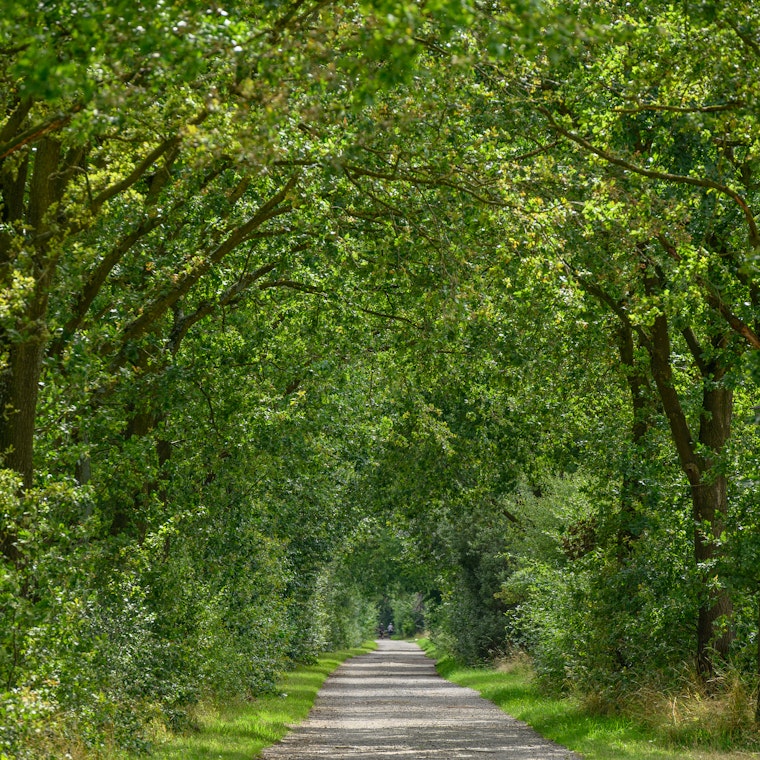 boekhouder Harelbeke boekhouder Harelbeke