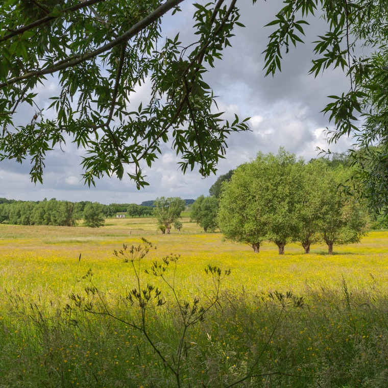 boekhouder Geraardsbergen boekhouder Geraardsbergen