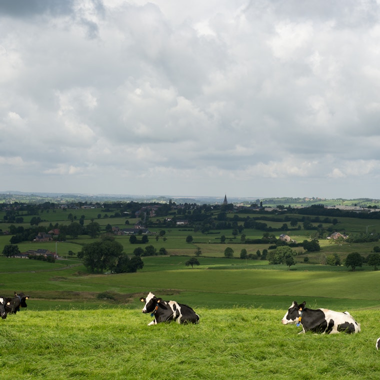 boekhouder Diepenbeek boekhouder Diepenbeek