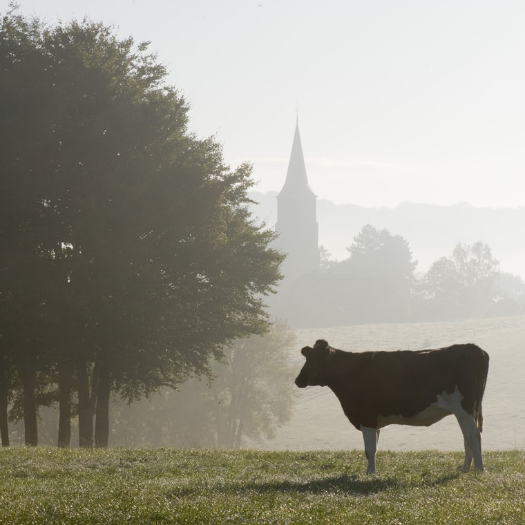 boekhouder Denderleeuw boekhouder Denderleeuw