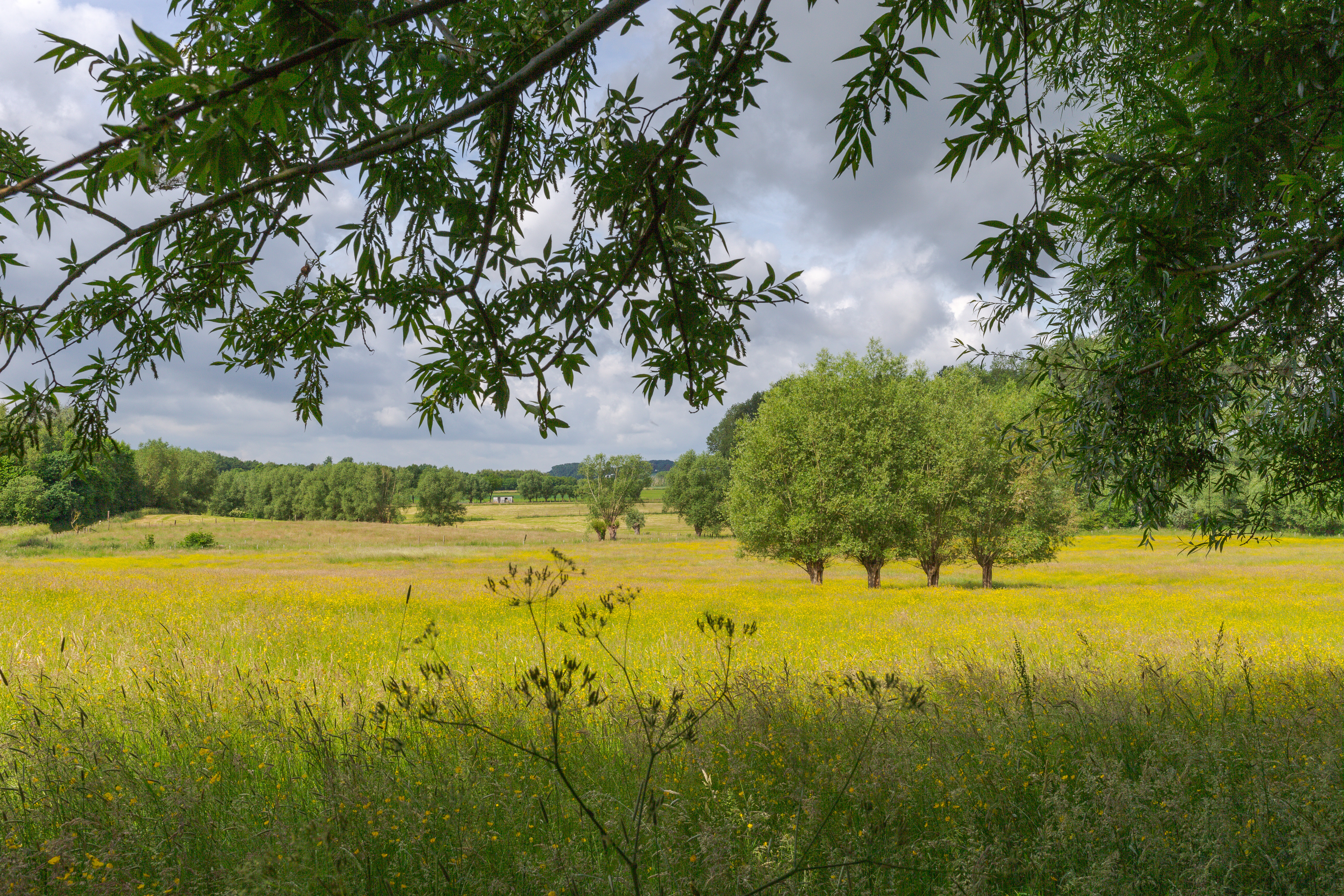 boekhouder Heist-op-den-Berg