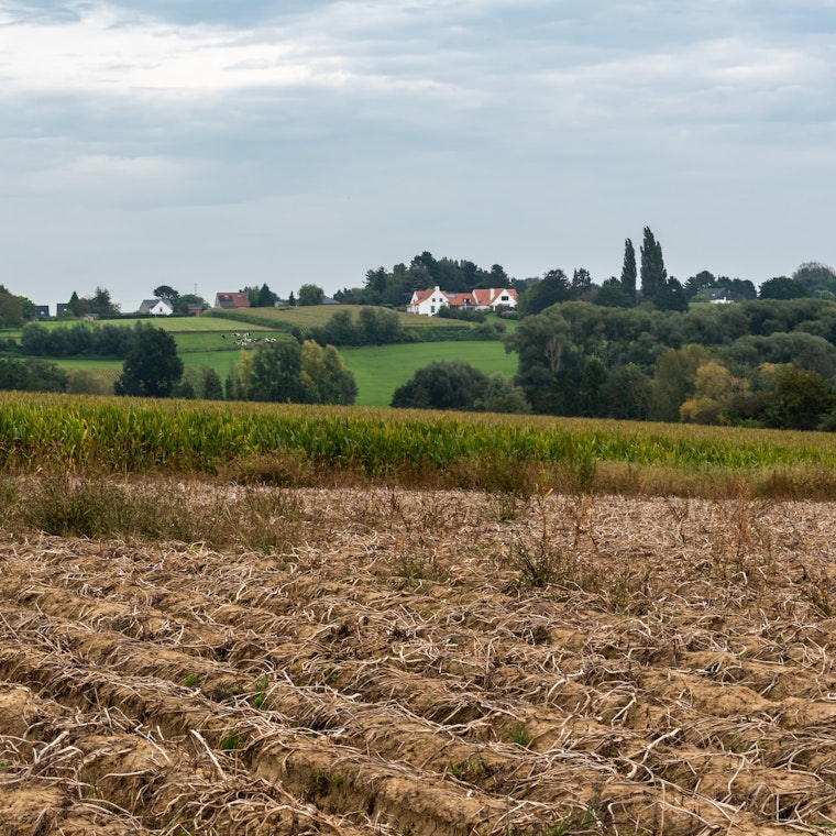 comptable Brecht comptable Brecht