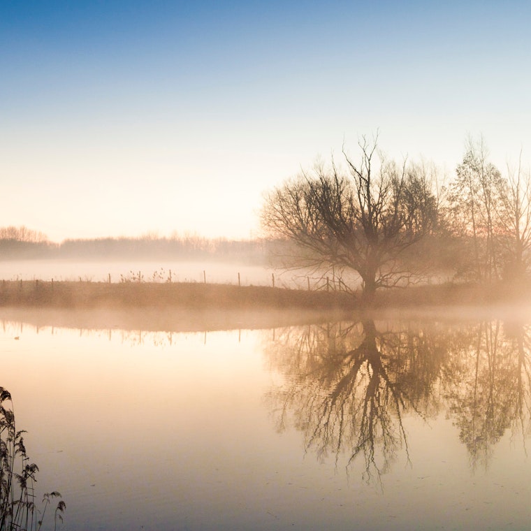 boekhouder Hamme boekhouder Hamme