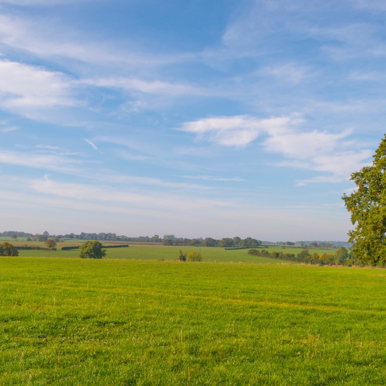 boekhouder As boekhouder As