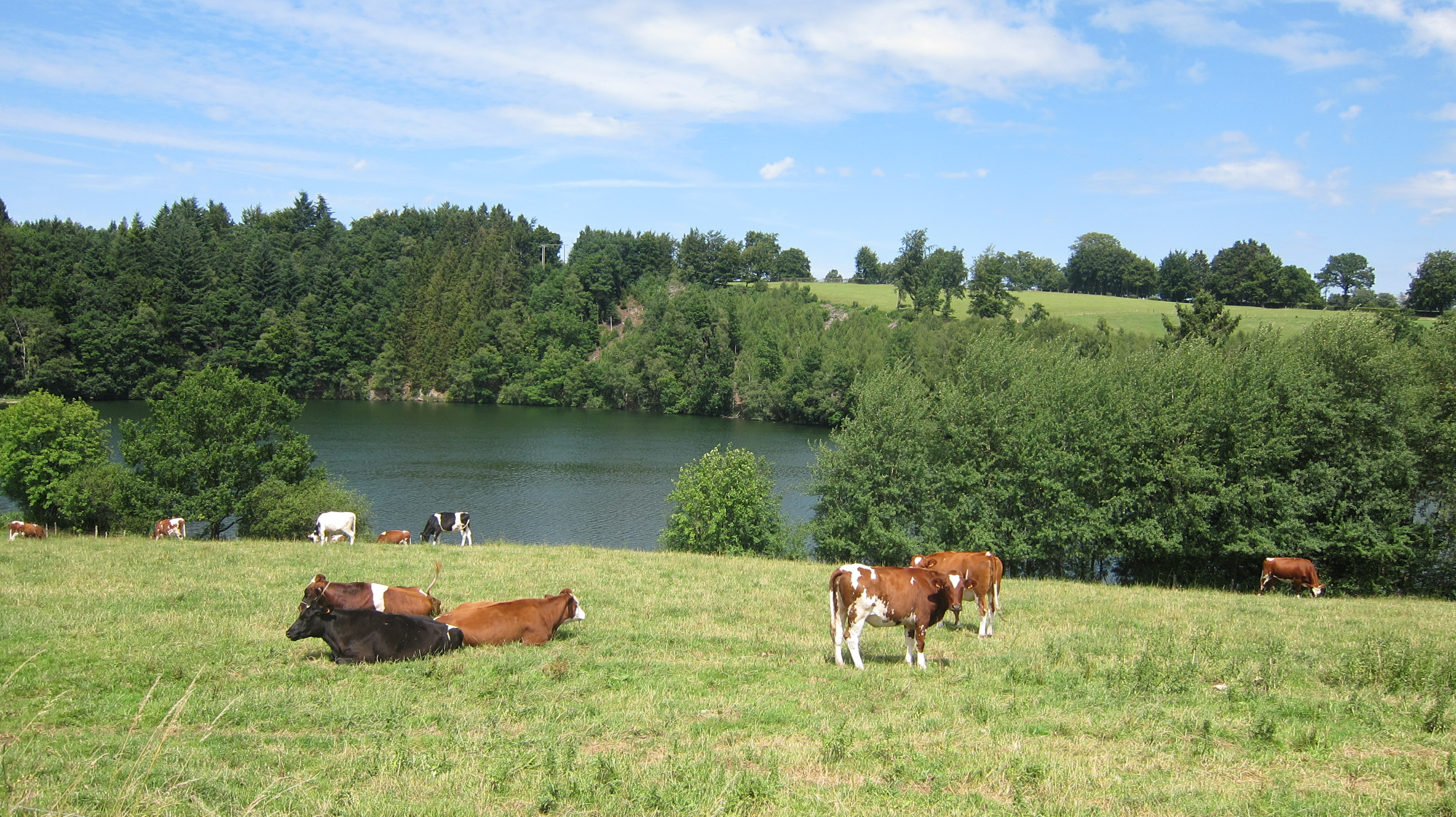 boekhouder Galmaarden