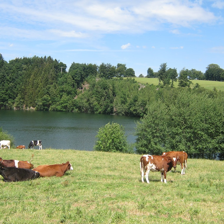 boekhouder Galmaarden boekhouder Galmaarden