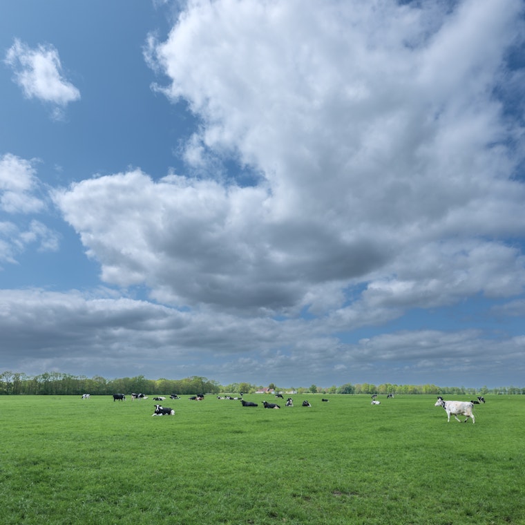 boekhouder Affligem boekhouder Affligem