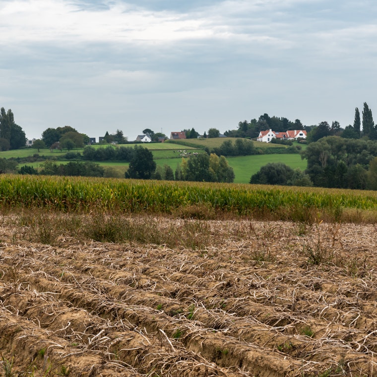 boekhouder Begijnendijk boekhouder Begijnendijk