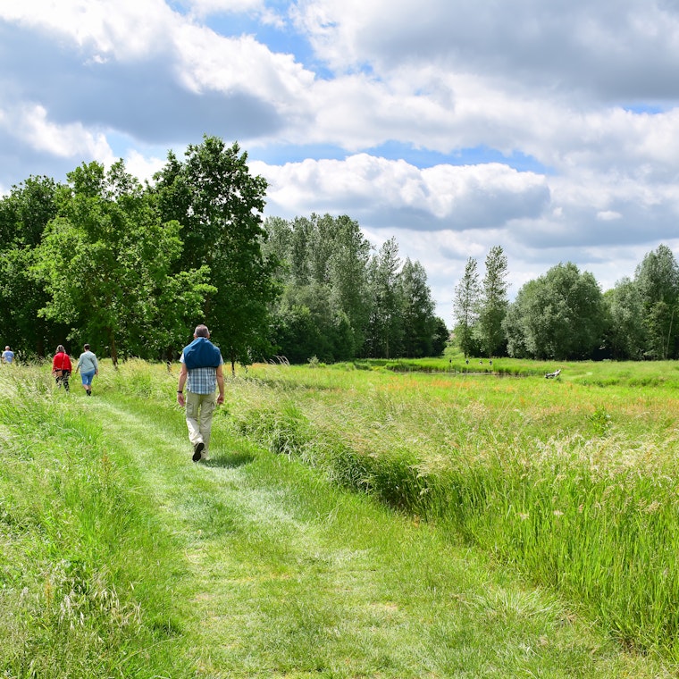 comptable Bierbeek comptable Bierbeek