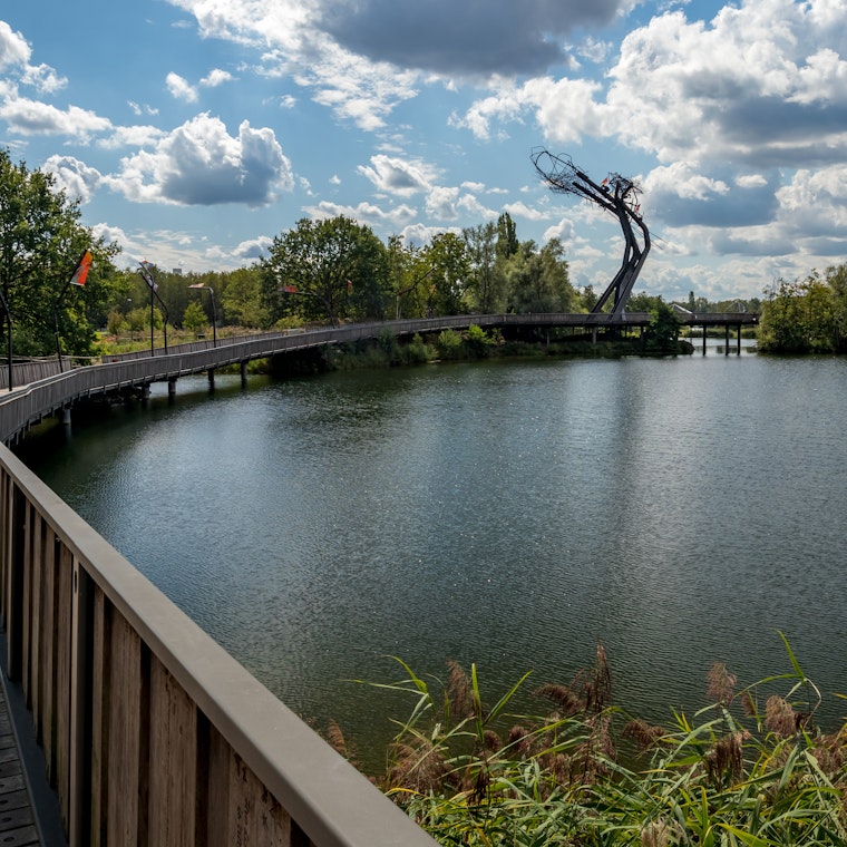 boekhouder Boom boekhouder Boom