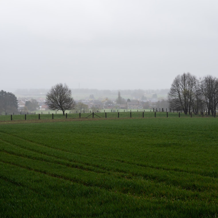 boekhouder Boortmeerbeek boekhouder Boortmeerbeek