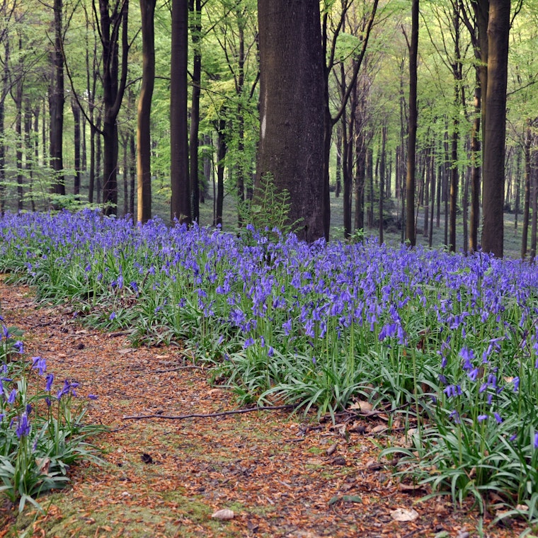 boekhouder Brakel boekhouder Brakel