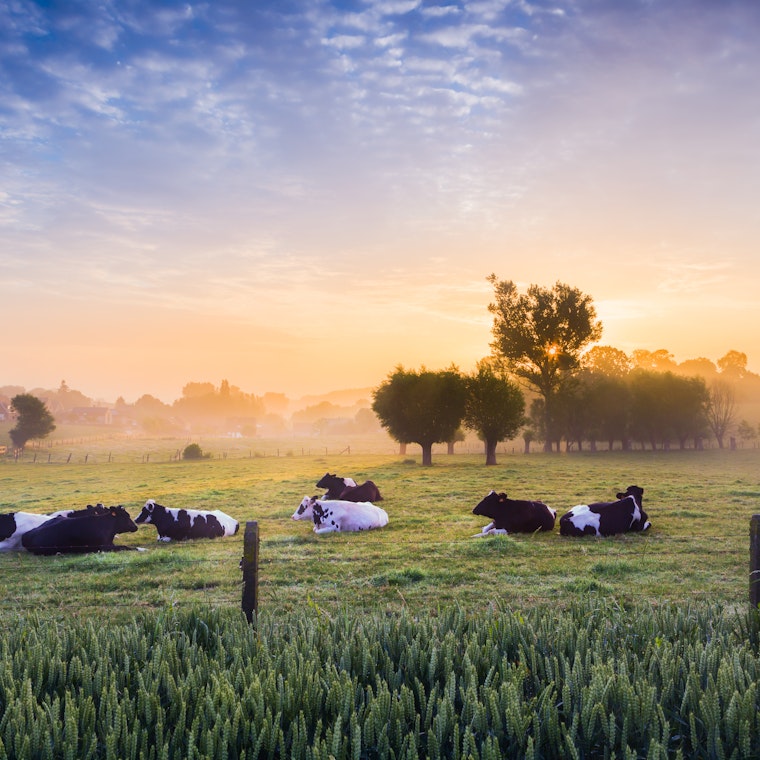 comptable Bree comptable Bree