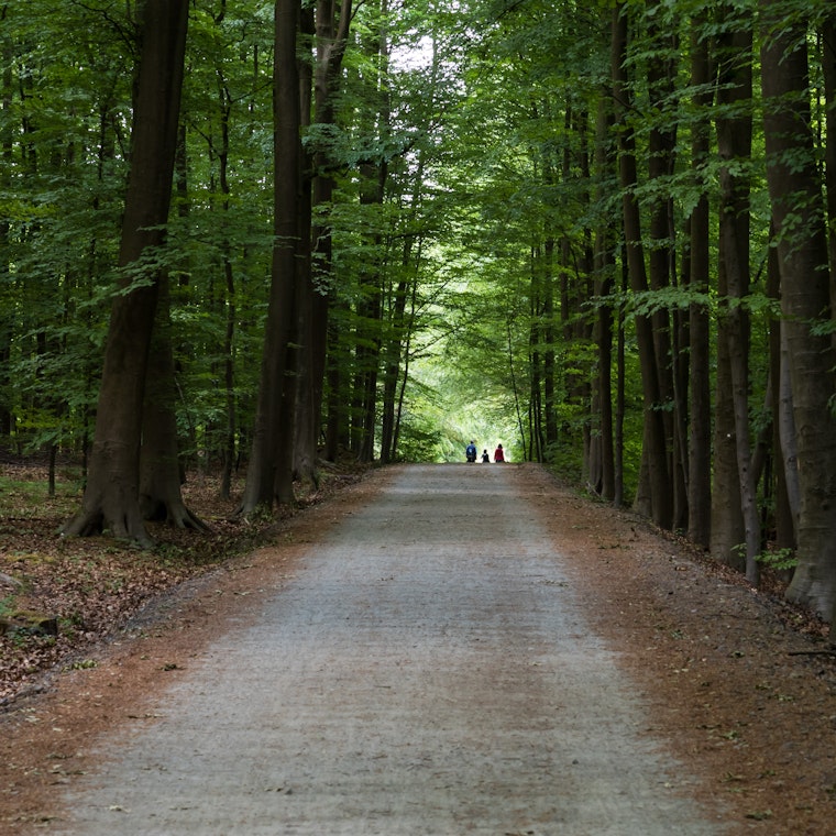 comptable Buggenhout comptable Buggenhout