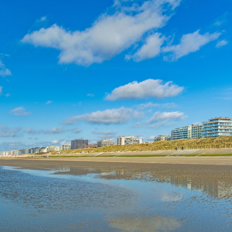 comptable De Panne comptable De Panne