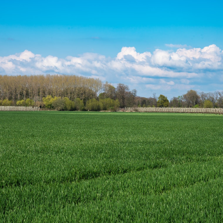 boekhouder Hove boekhouder Hove