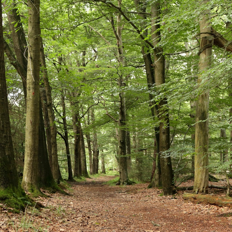 boekhouder Glabbeek boekhouder Glabbeek