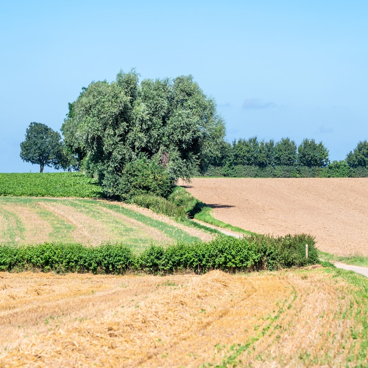 boekhouder Heers boekhouder Heers