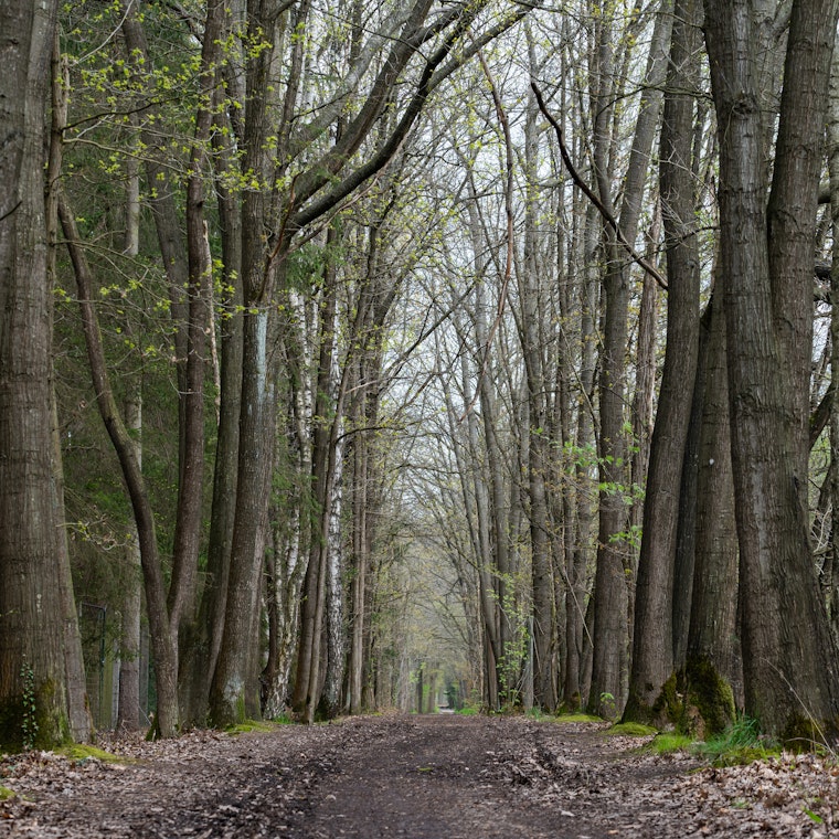 boekhouder Herselt boekhouder Herselt