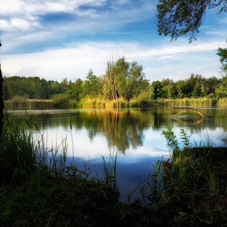 comptable Niel comptable Niel