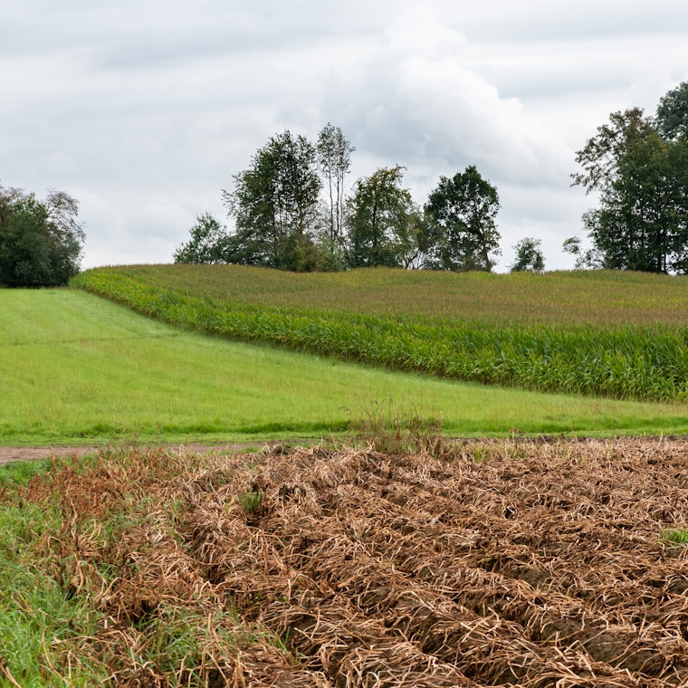 boekhouder Opwijk boekhouder Opwijk