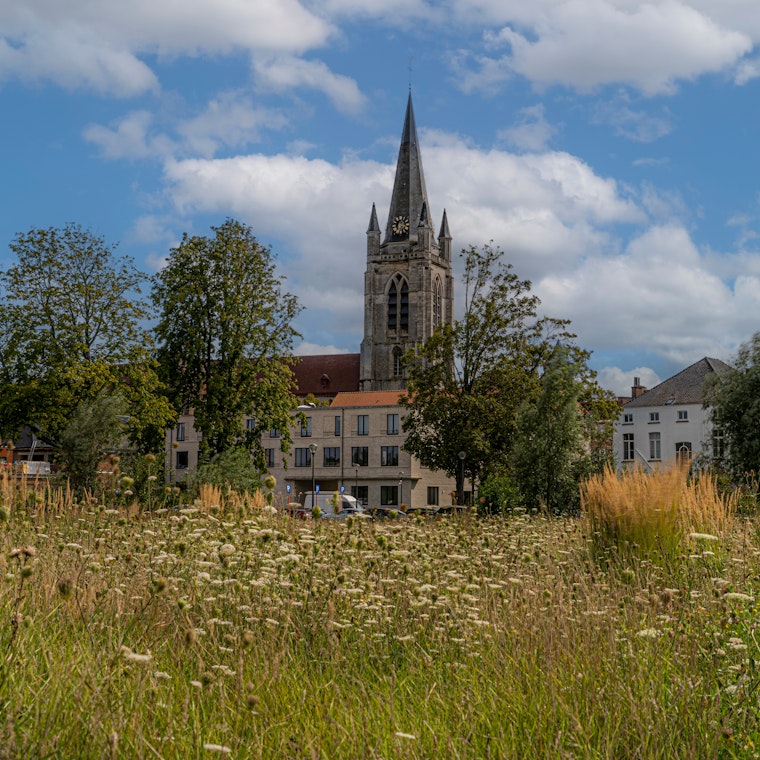 boekhouder Ronse boekhouder Ronse
