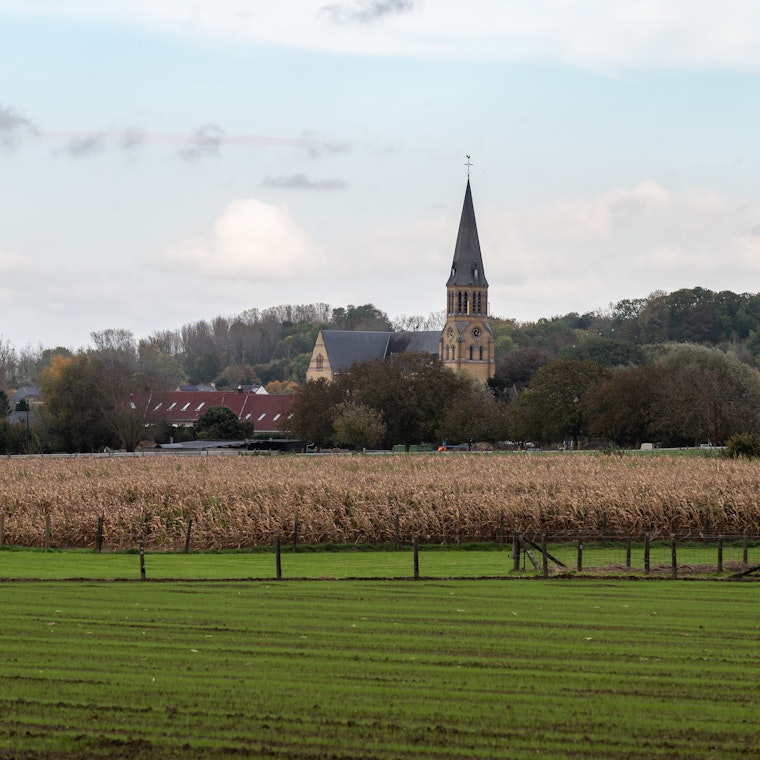 boekhouder Roosdaal boekhouder Roosdaal