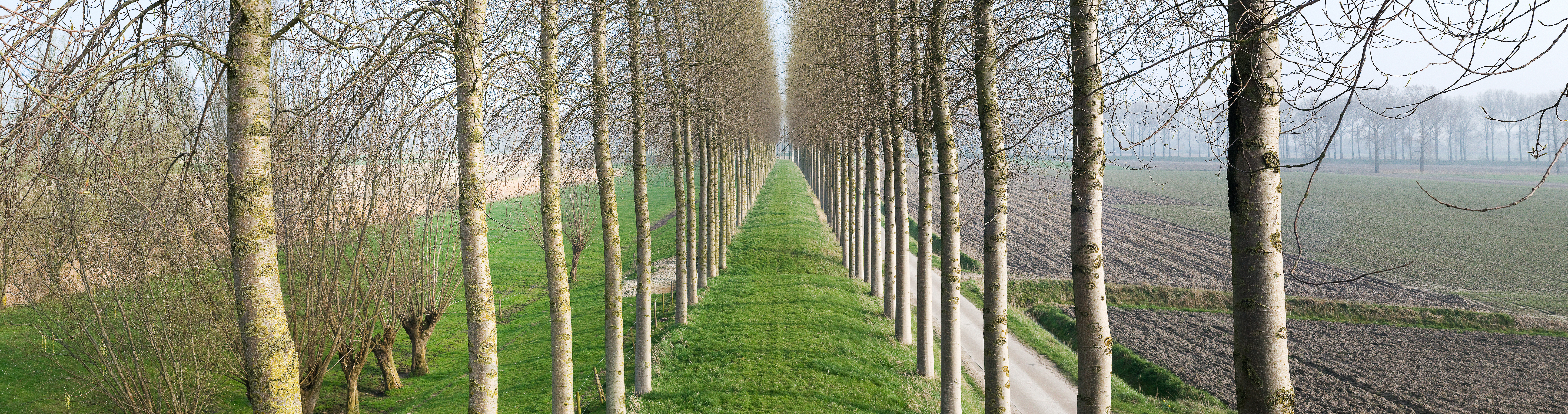 comptable Sint-Laureins