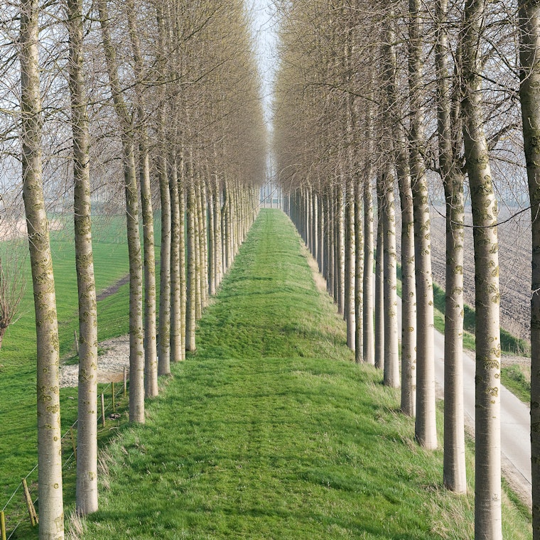 boekhouder Sint-Laureins boekhouder Sint-Laureins