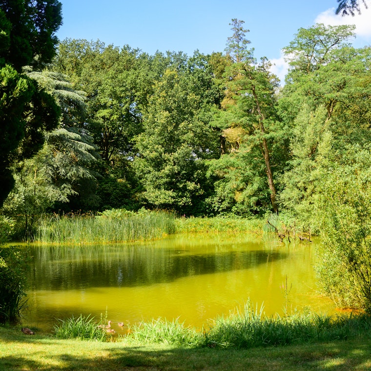 boekhouder Stabroek boekhouder Stabroek