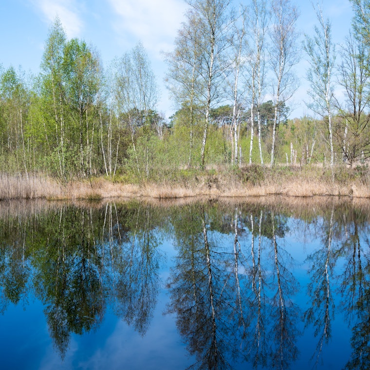 boekhouder Tessenderlo boekhouder Tessenderlo