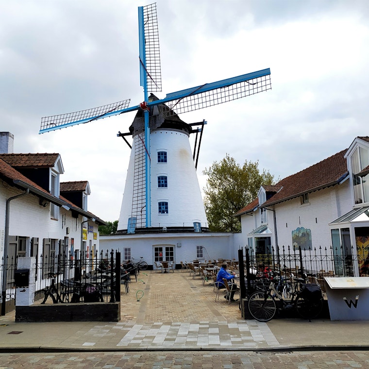 beokhouder Wervik beokhouder Wervik