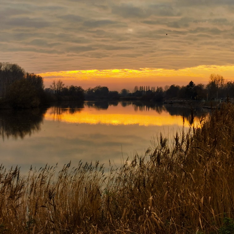 boekhouder Zele boekhouder Zele