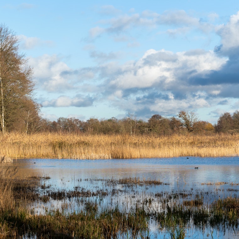 Boekhouder Zonhoven Boekhouder Zonhoven
