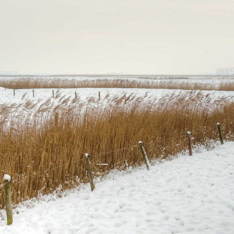 boekhouder Zuienkerke boekhouder Zuienkerke