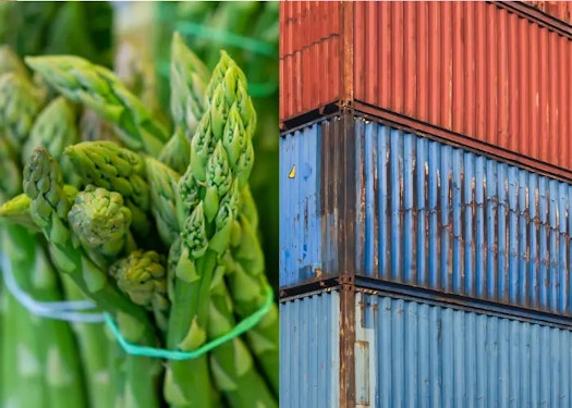 Banner expertise Banner expertise