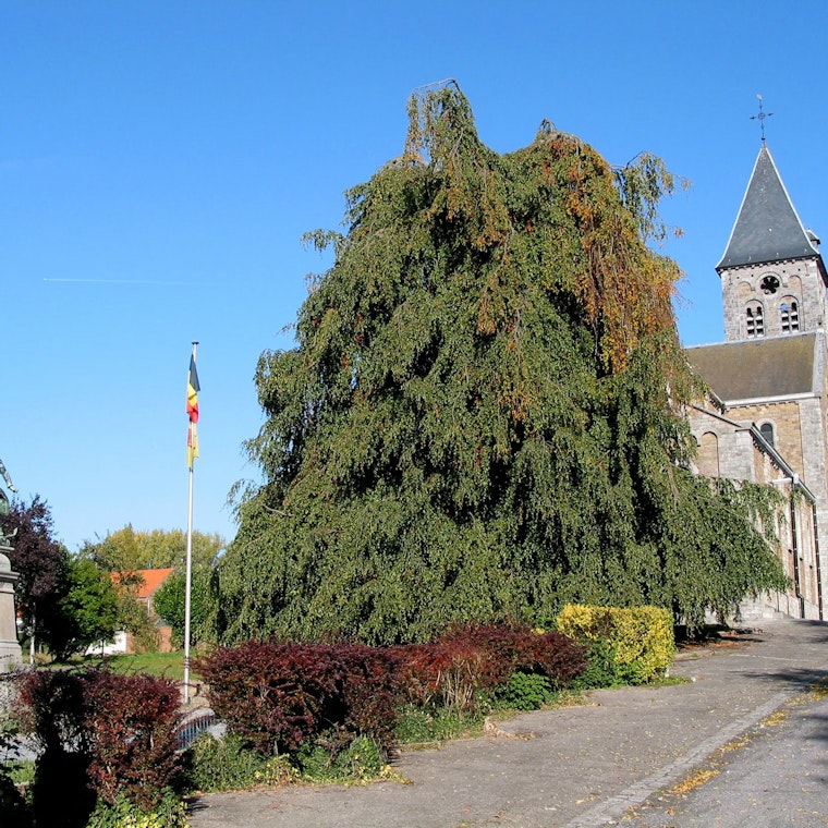 Boekhouder Braives Boekhouder Braives